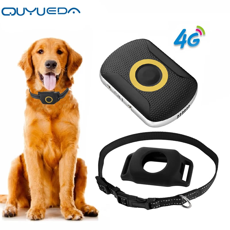 Waterproof  Top Quality Pet GPS Tracker Collar for Dogs